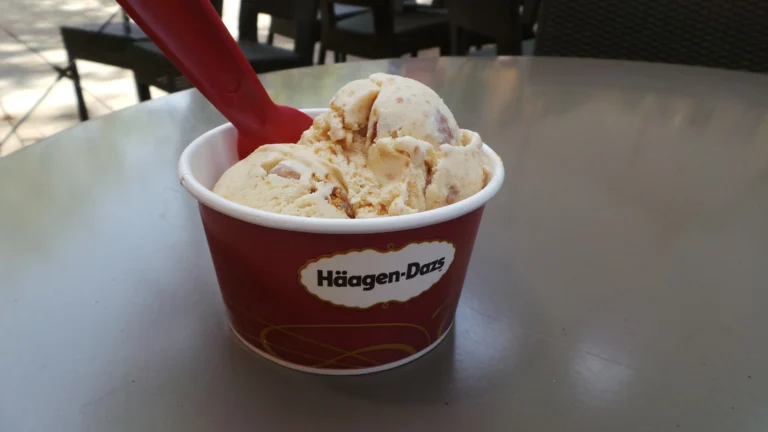 Wikimedia nuotr. / „Häagen-Dazs“ ledai