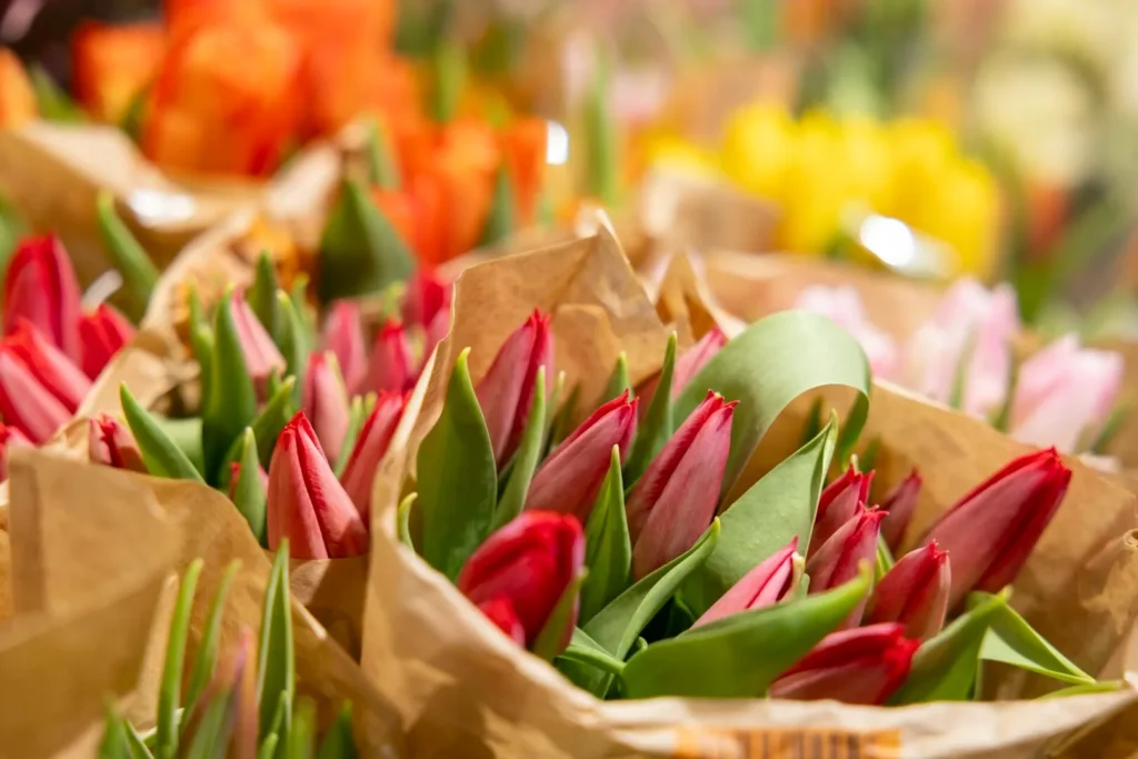 LIDL nuotr. / Tulpės