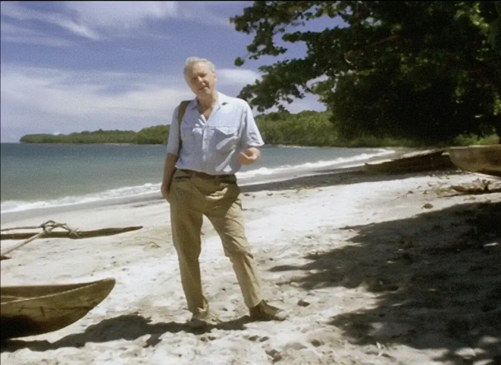 BBC nuotr. / Seras Davidas Attenborough – vienas garsiausių pasaulio gamtininkų.