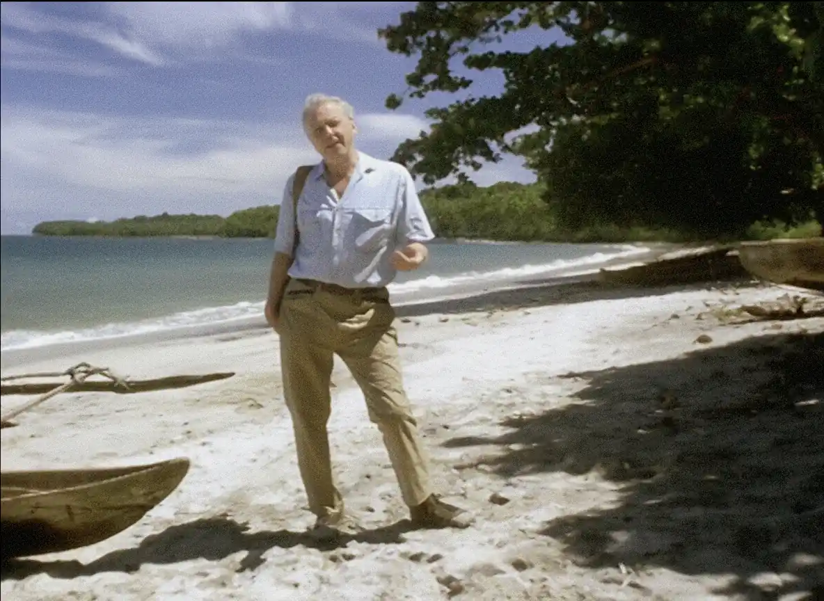 BBC nuotr. / Seras Davidas Attenborough – vienas garsiausių pasaulio gamtininkų.