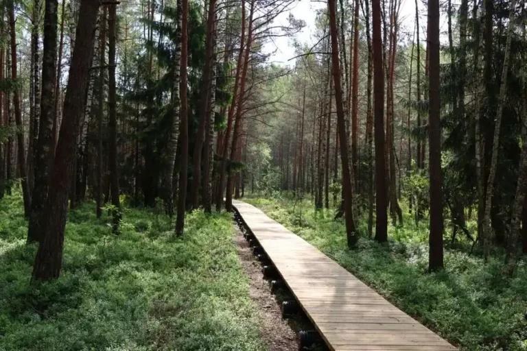 VMU nuotr. / Pažintiniai takai Lietuvoje